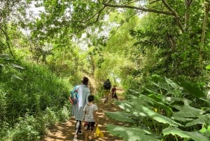 Mauritius: The Wild South Hiking Tour with a Guide