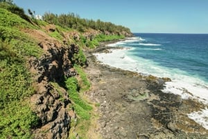 Mauritius: The Wild South Hiking Tour with a Guide