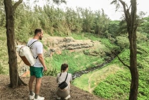 Mauritius: The Wild South Hiking Tour with a Guide
