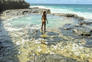 Mauritius: The Wild South Hiking Tour with a Guide