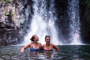 Mauritius: The Wild South Hiking Tour with a Guide