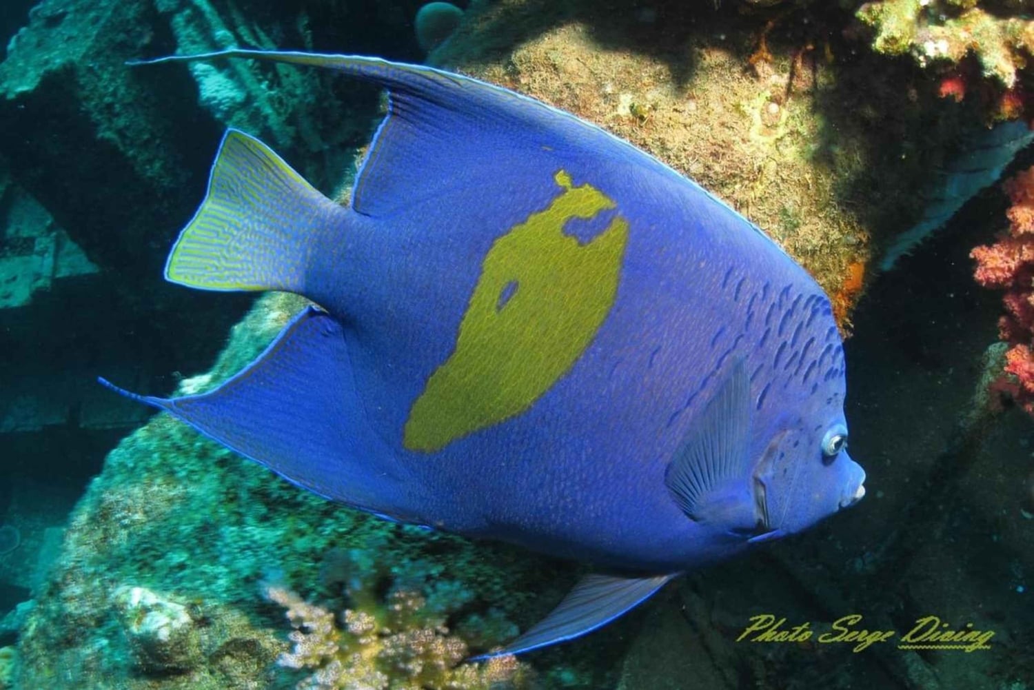Mauritius: tour di snorkeling a Trou-aux-Biches