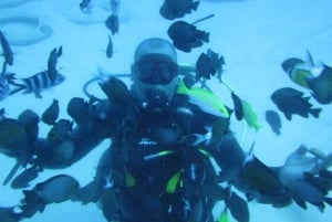 Maurícia: Passeio de snorkeling em Trou-aux-Biches