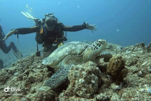 Mauritius: tour di snorkeling a Trou-aux-Biches