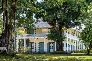 Mauritius: Svømming med skilpadder og oppdagelsestur i nord med henting