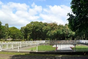 Mauritius: Svømming med skilpadder og oppdagelsestur i nord med henting