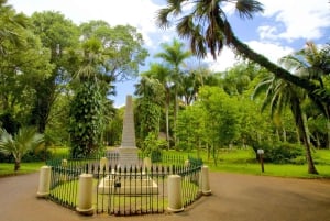 Mauritius: nuoto con le tartarughe e tour alla scoperta del nord con pick-up