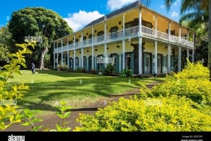 Mauritius: nuoto con le tartarughe e tour alla scoperta del nord con pick-up