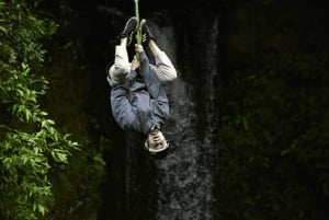 モーリシャス：ラ ヴァレ デ クルール公園入場チケット