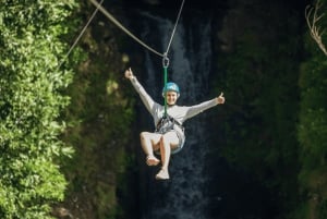 モーリシャス：ラ ヴァレ デ クルール公園入場チケット
