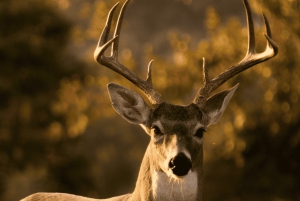 Koko päivä: rotkot, vesiputoukset, polut, järvet, värillinen maa