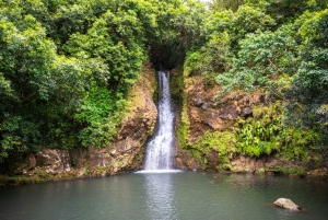 Mauritius: Vallé Park Private Exclusive Adventure with Lunch