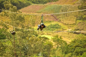 Mauritius: Vallé Park Private Exclusive Adventure with Lunch