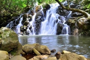 Mauritius: Vanilla Park, 23 Coloured Earth, Wild Beaches Tour