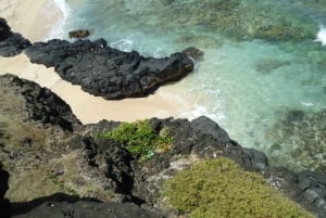 Mauritius: Vanilla Park and Wild Beaches Tour