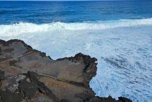 Mauritius: Tur til vaniljeparken og de vilde strande