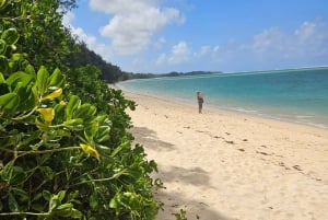 Mauritius: Tur til vaniljeparken og de vilde strande