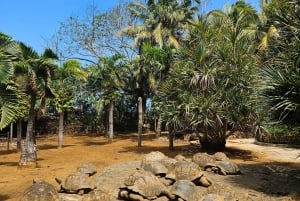 Mauritius: Tur til vaniljeparken og de vilde strande