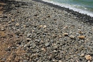 Mauritius: Tur til vaniljeparken og de vilde strande