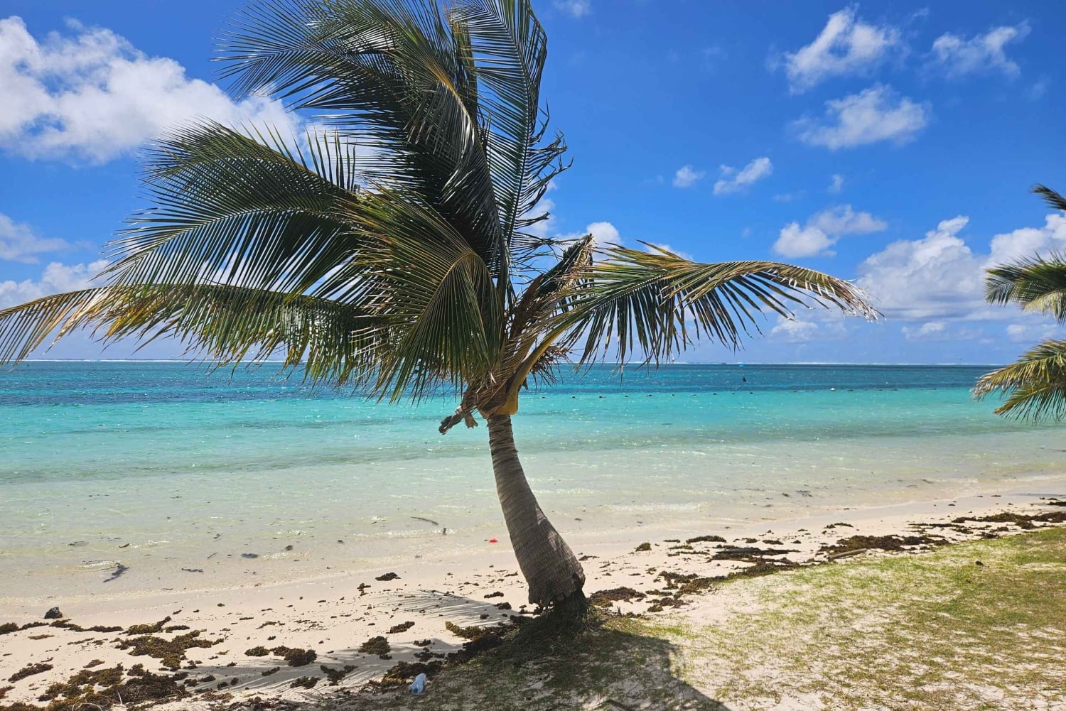 Mauritius Vieux Grand Port EAST Tours