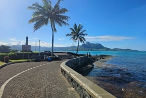Mauritius Vieux Grand Port EAST Tours