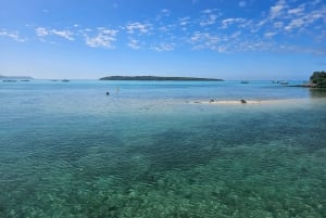 Mauritius Vieux Grand Port EAST Tours