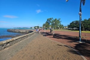 Mauritius Vieux Grand Port EAST Tours