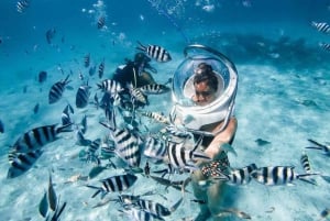 Mauritius: Vattensportsäventyrsdag med lunch och upphämtning