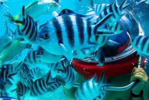 Mauritius: Vattensportsäventyrsdag med lunch och upphämtning