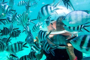 Mauritius: Vattensportsäventyrsdag med lunch och upphämtning
