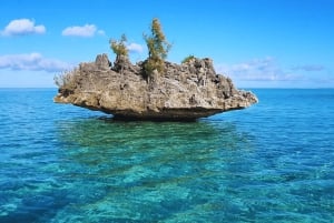 Costa oeste de Mauricio: delfines, Crystal Rock y almuerzo
