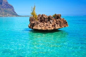 Costa oeste de Mauricio: delfines, Crystal Rock y almuerzo