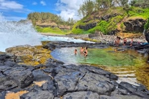 Mauritius - den vilde sydkyst (Gris Gris)