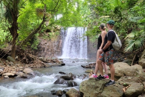 Mauritius - den vilde sydkyst (Gris Gris)