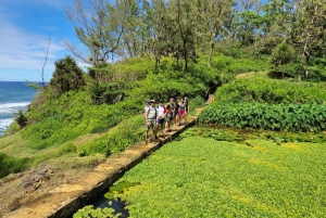 Mauritius - den vilde sydkyst (Gris Gris)