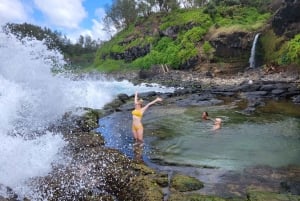 Mauritius - den vilde sydkyst (Gris Gris)