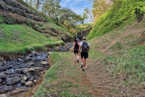 Mauritius - den vilde sydkyst (Gris Gris)