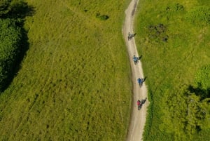 モーリシャス：ワイルドサウス電動自転車アドベンチャー