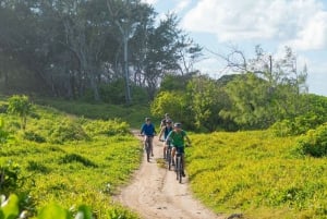 モーリシャス：ワイルドサウス電動自転車アドベンチャー