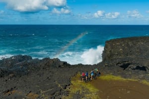 モーリシャス：ワイルドサウス電動自転車アドベンチャー