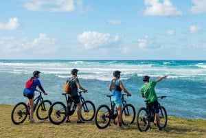 モーリシャス：ワイルドサウス電動自転車アドベンチャー