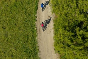 モーリシャス：ワイルドサウス電動自転車アドベンチャー