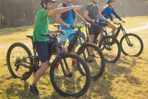 モーリシャス：ワイルドサウス電動自転車アドベンチャー