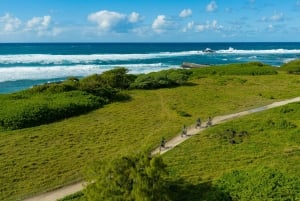 モーリシャス：ワイルドサウス電動自転車アドベンチャー