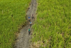 モーリシャス：ワイルドサウス電動自転車アドベンチャー