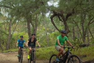 モーリシャス：ワイルドサウス電動自転車アドベンチャー