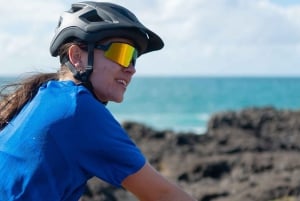 モーリシャス：ワイルドサウス電動自転車アドベンチャー