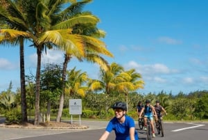 モーリシャス：ワイルドサウス電動自転車アドベンチャー