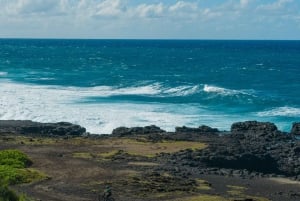 モーリシャス：ワイルドサウス電動自転車アドベンチャー