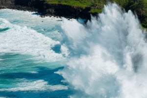 モーリシャス：ワイルドサウス電動自転車アドベンチャー